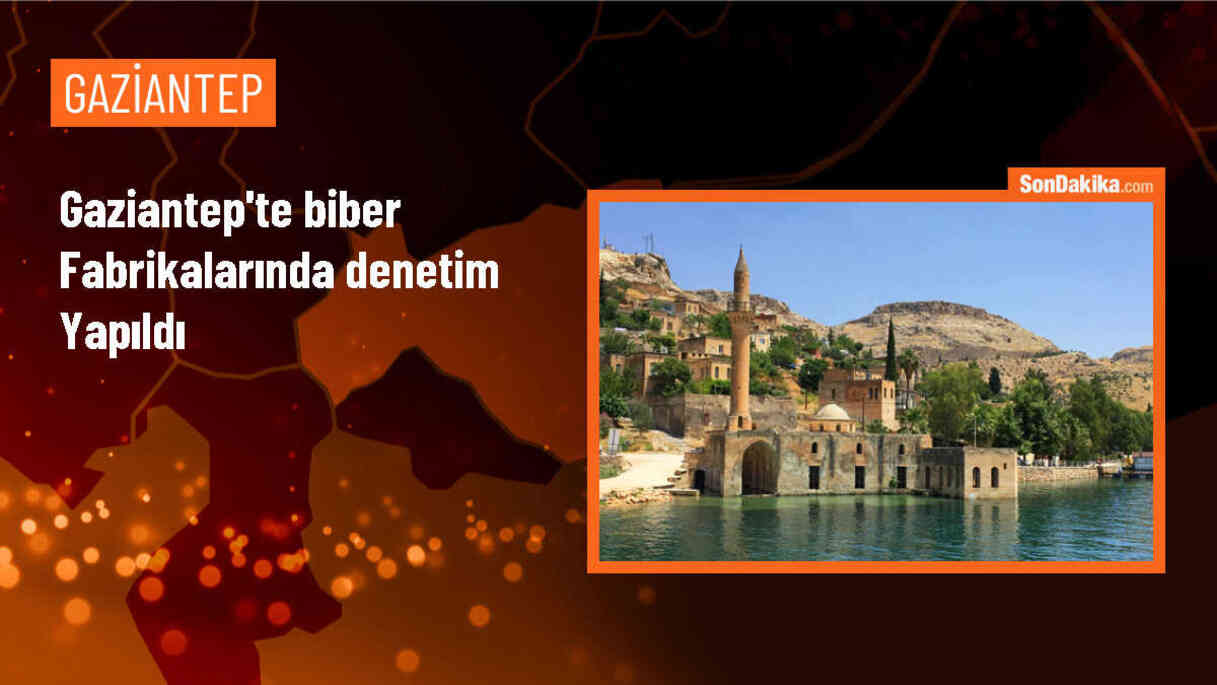 Gaziantep İslahiye\'de biber fabrikalarında denetim gerçekleştirildi