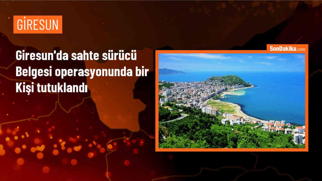 Giresun\'da sahte sürücü belgesi operasyonunda bir kişi tutuklandı