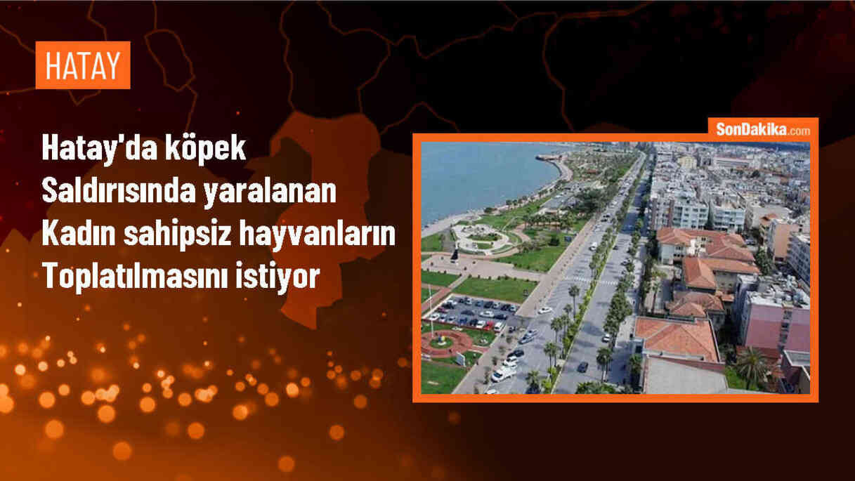 Belen\'de köpek saldırısına uğrayan kadın, köpeklerin toplatılmasını istiyor