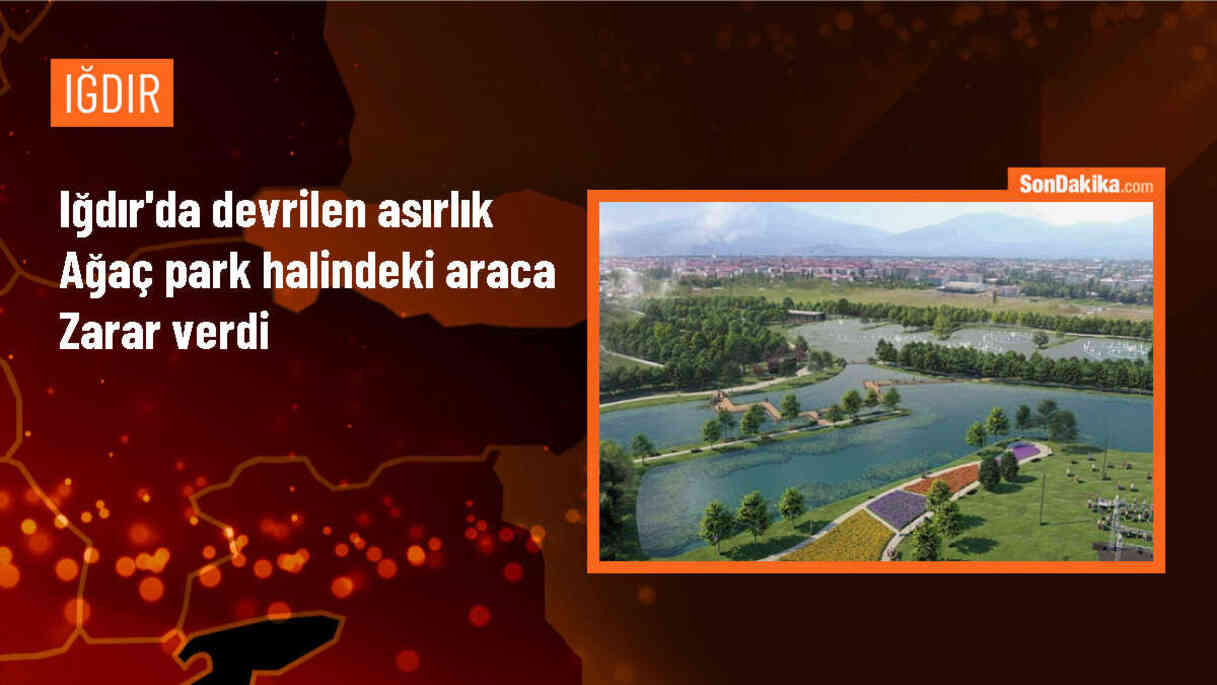 Iğdır\'da Asırlık Ağaç, Park Halindeki Otomobile Zarar Verdi