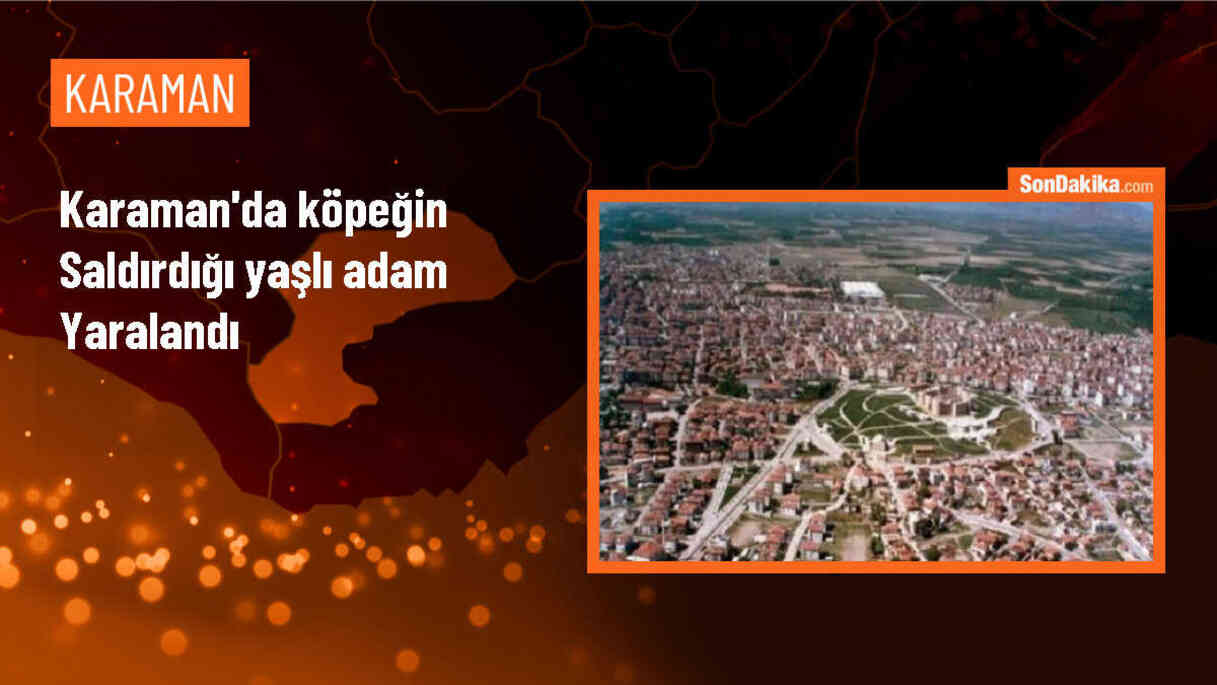 Karaman\'da köpeğin saldırısına uğrayan yaşlı adam hastaneye kaldırıldı