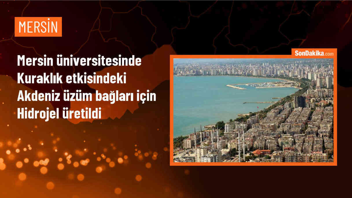 MEÜ\'de kuraklık etkisindeki üzüm bağları için hidrojel üretildi