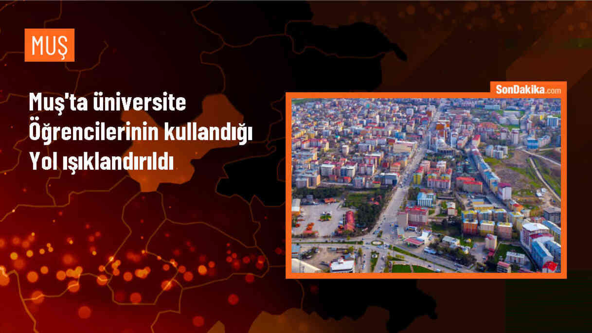 Muş\'ta üniversite öğrencilerinin kullandığı yol ışıklandırıldı