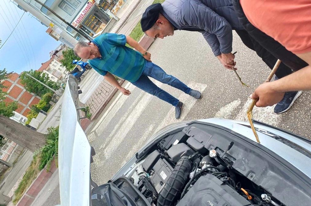 Kütahya\'da Otomobilin Motor Kısmına Giren Yavru Kedi Kurtarıldı