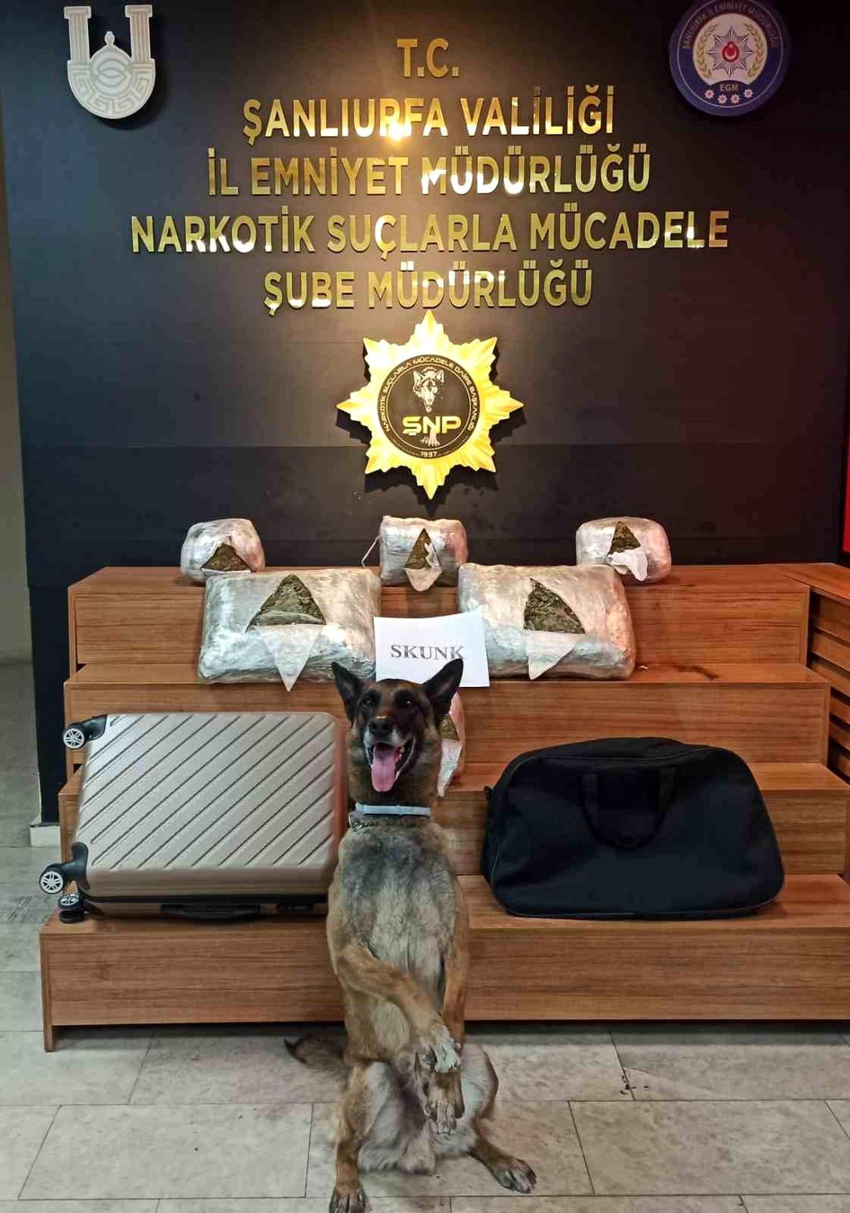 Şanlıurfa\'da 10 kilo 600 gram skunk ele geçirildi, 1 şüpheli gözaltına alındı