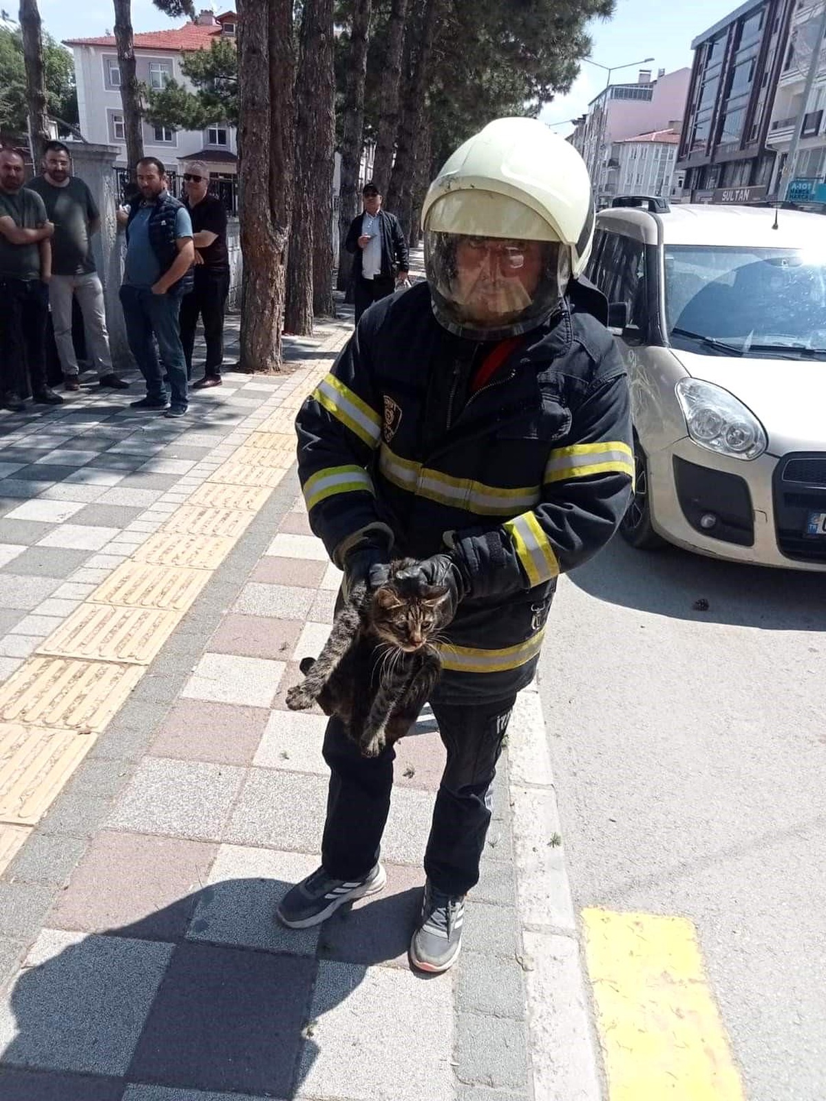 Afyonkarahisar\'da Mahsur Kalan Kedi İtfaiye Tarafından Kurtarıldı