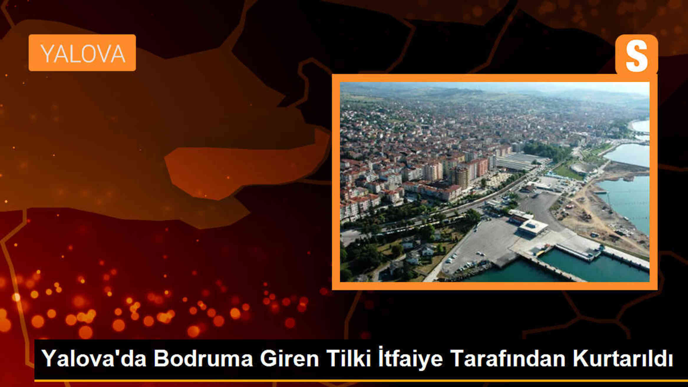 Yalova\'da bir tilki bodruma girdi, itfaiye ekipleri tarafından kurtarıldı