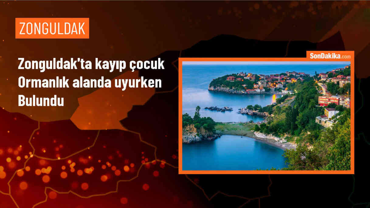 Zonguldak\'ta kaybolan çocuk ormanda uyurken bulundu