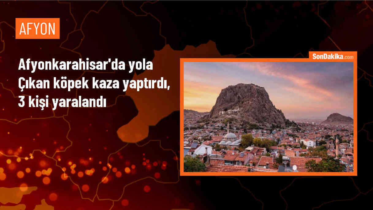 Afyonkarahisar\'da refüje devrilen otomobildeki 3 kişi yaralandı