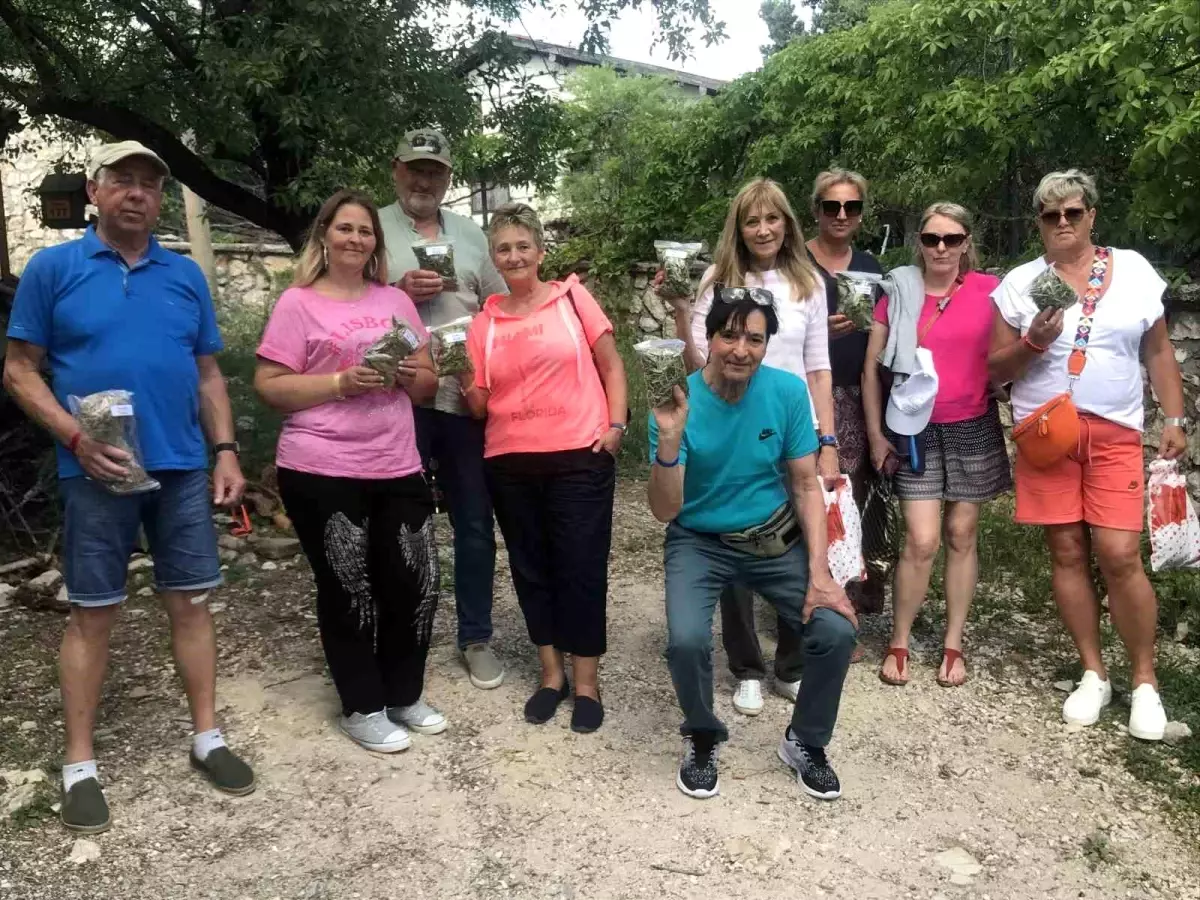 Alman turistler yıllardır aradıkları şifayı Antalya\'nın doğasında buldular