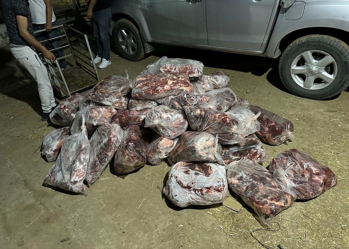 İncirliova\'da bir ton yaban domuzu eti ele geçirildi, bir şüpheli gözaltına alındı