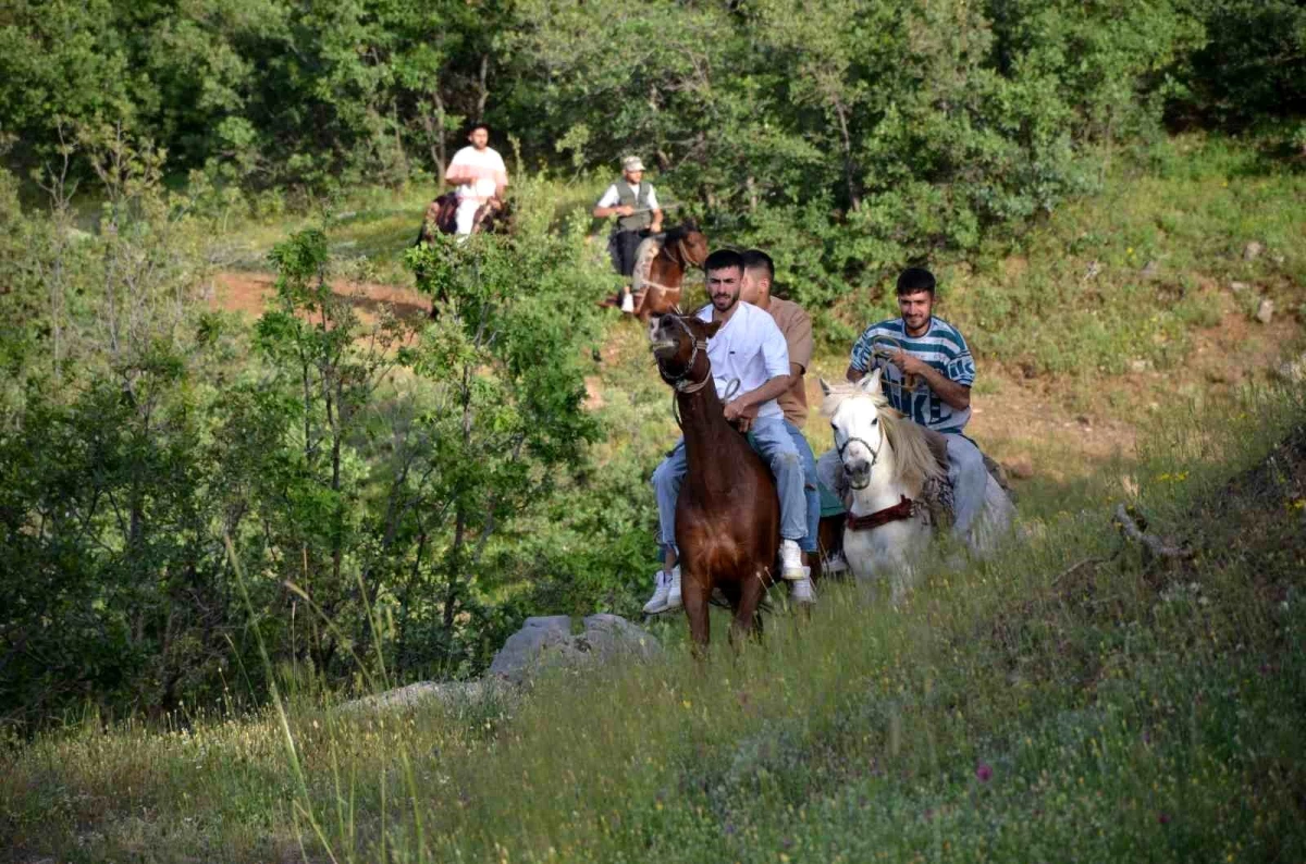 Şırnak'ta doğaseverler atlarla trekking yaptı