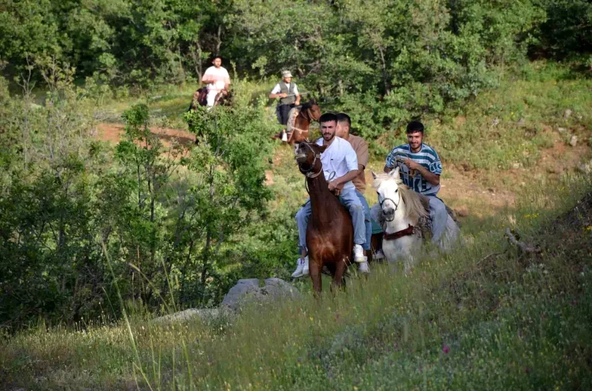 Şırnak\'ta doğaseverler atlarla trekking yaptı