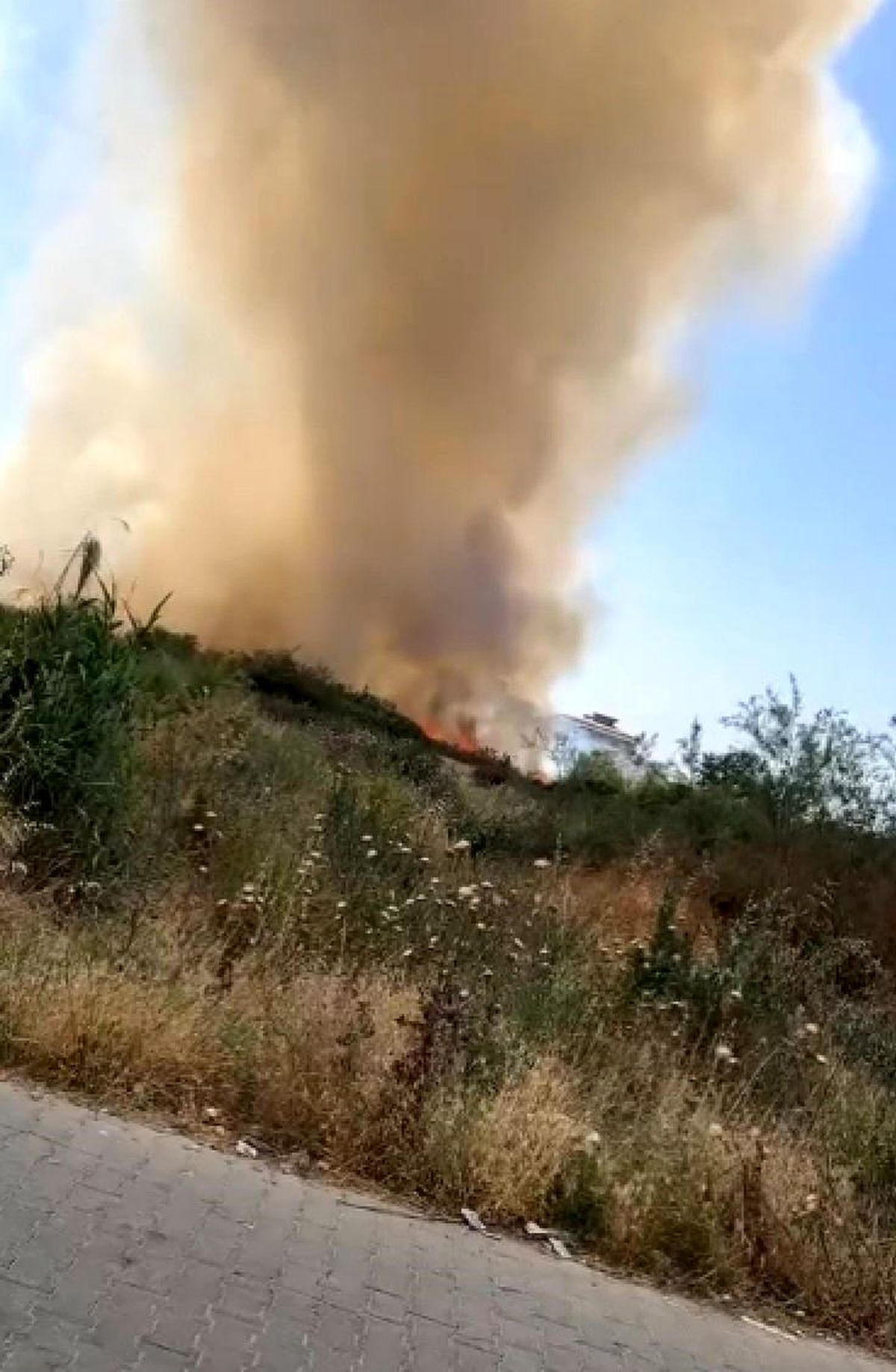 Aydın\'da Rüzgarın Etkisiyle Büyüyen Yangın Kontrol Altına Alındı