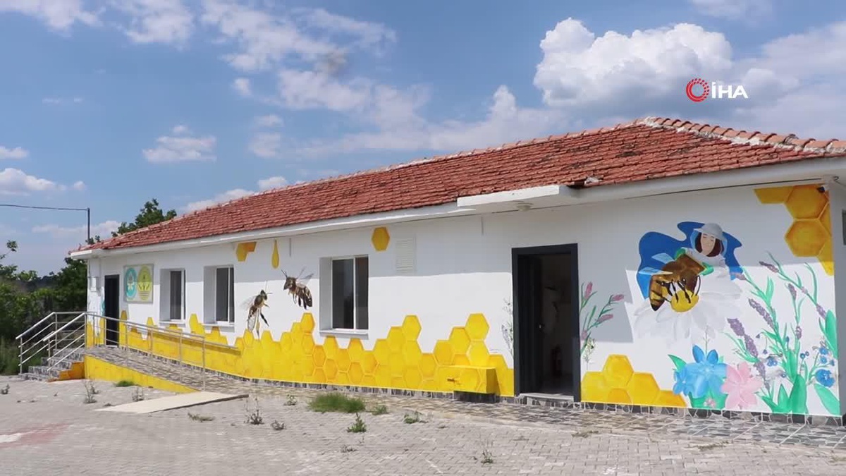 Manisa Büyükşehir Belediyesi\'nden bal üreticilerine destek