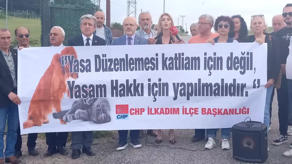 CHP, Hayvan Hakları Kanunu Tasarısını Protesto Etti