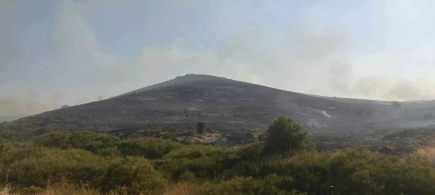 Foça\'da çöp döküm alanında çıkan yangın makiye sıçradı