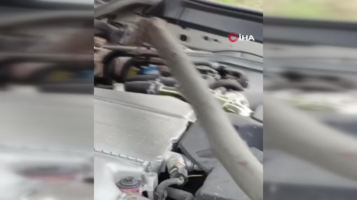 Hakkari\'de kamyonetin motoruna giren yılan güçlükle çıkartıldı
