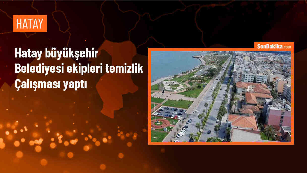 Hatay Büyükşehir Belediyesi Refüj ve Kaldırımlarda Temizlik Çalışması Yaptı