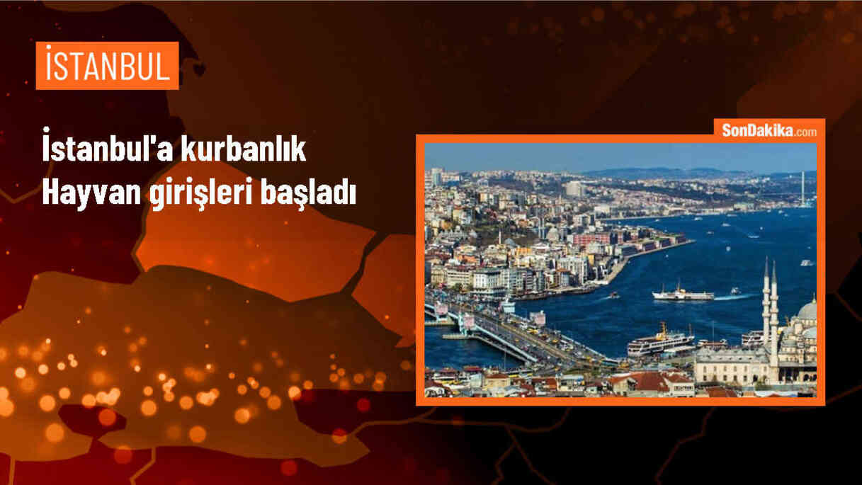 İstanbul\'a kurbanlık hayvan girişleri başladı