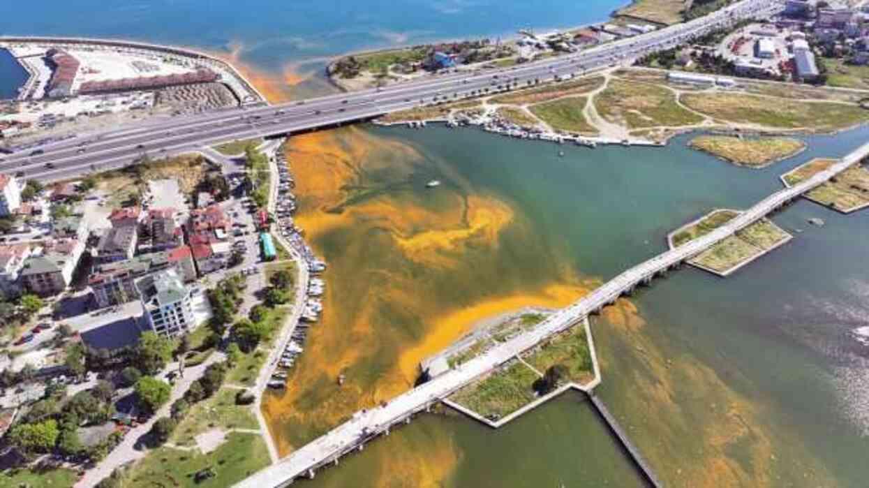 İstanbul'da korkutan görüntü! Denizin rengi sarıya büründü