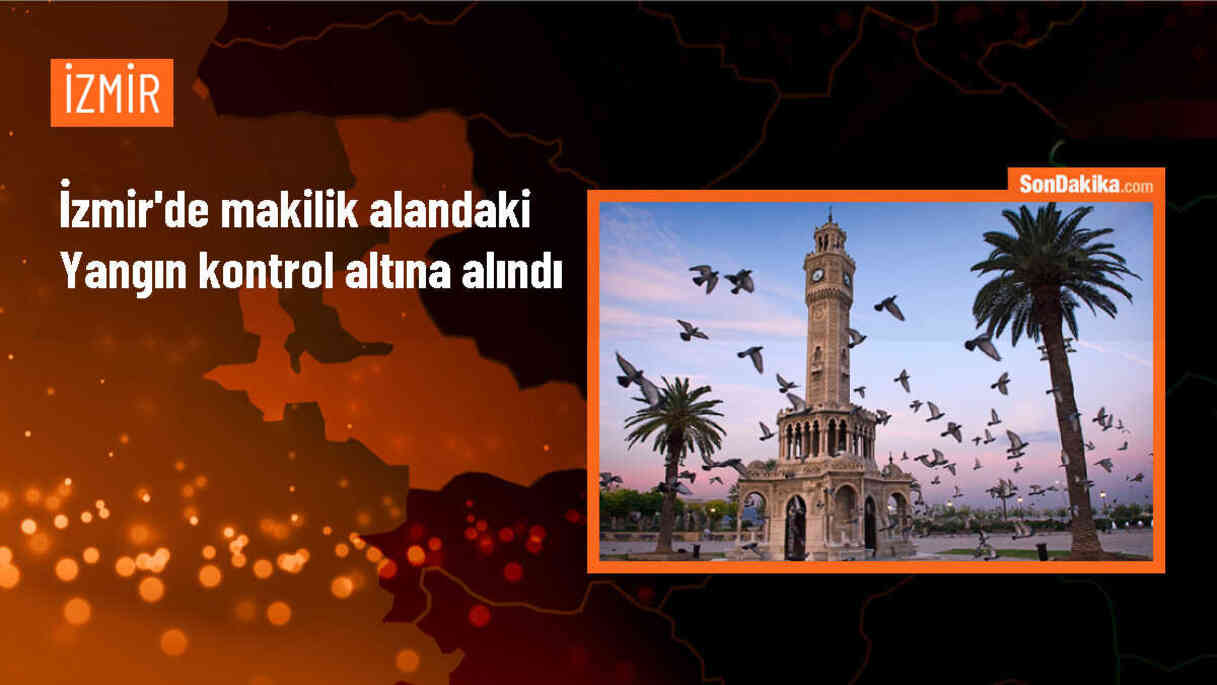 Foça\'da makilik alandaki yangın kontrol altına alındı