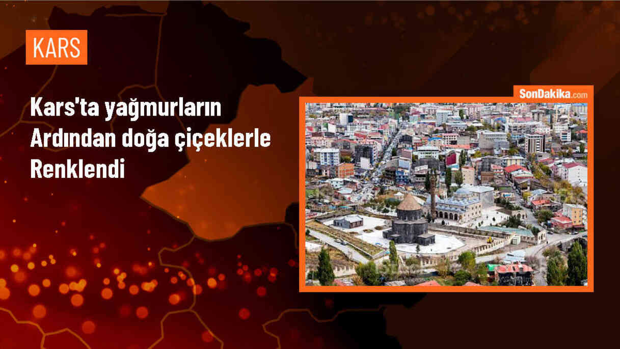 Kars\'ın Sarıkamış ilçesinde doğa çiçeklerle renklendi
