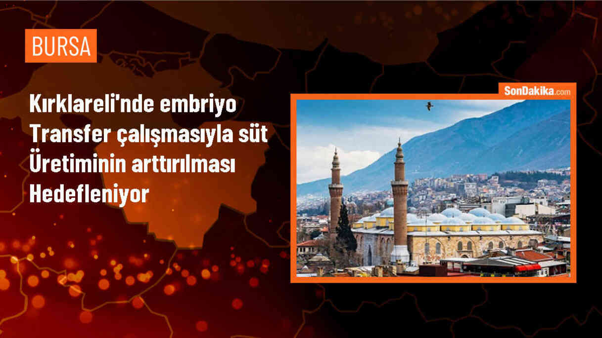 Kırklareli\'nde embriyo transferi ile et ve süt üretimi artırılıyor