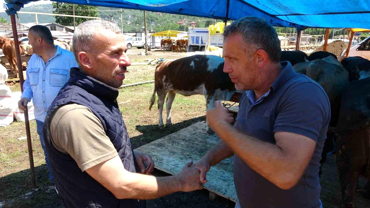 Trabzon\'da Kurban Pazarında Sıkı Pazarlıklar Başladı