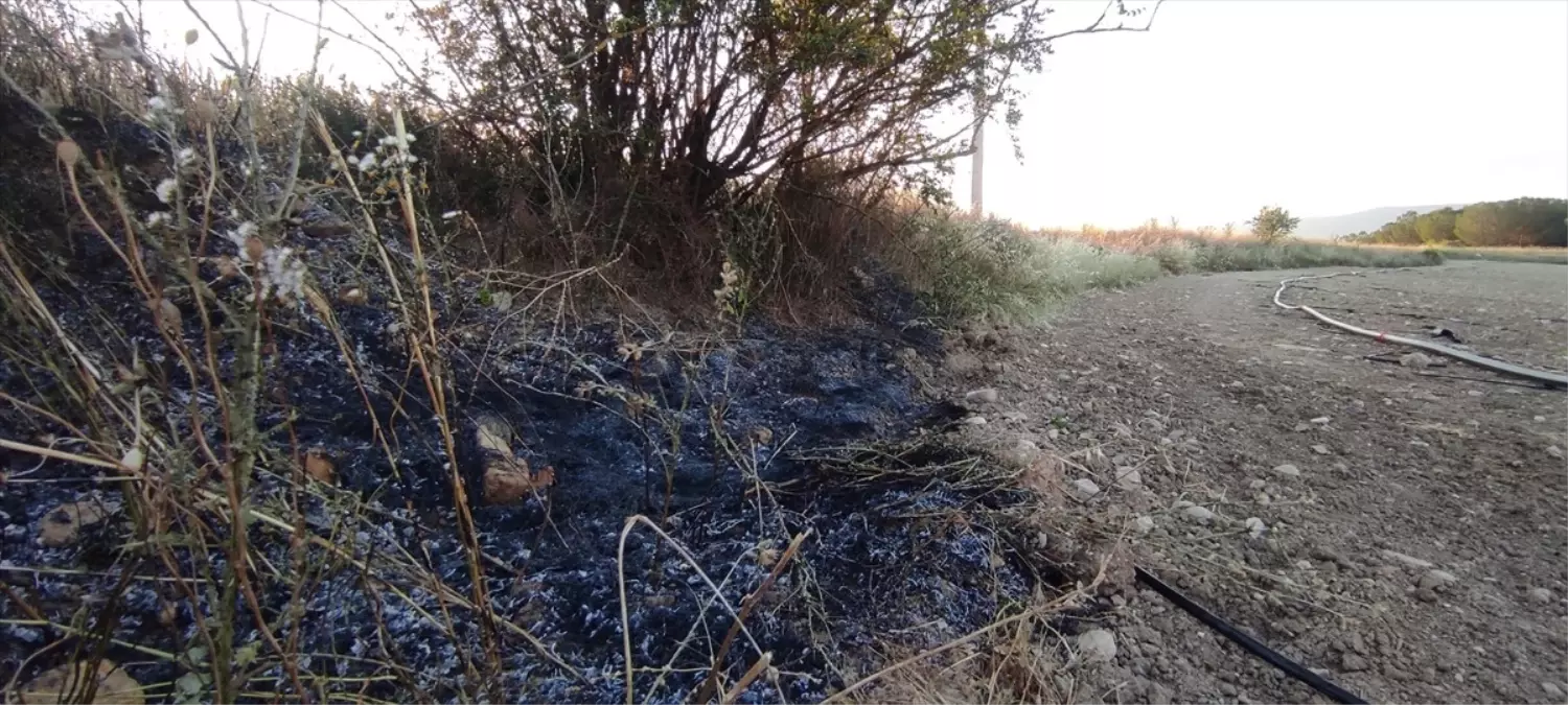 Kuşun Elektrik Tellere Çarpmasıyla Çıkan Yangın Ormanda Söndürüldü