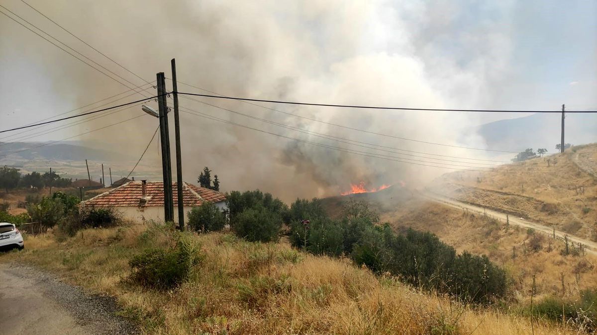 Manisa\'da çıkan yangın büyük zarara neden oldu