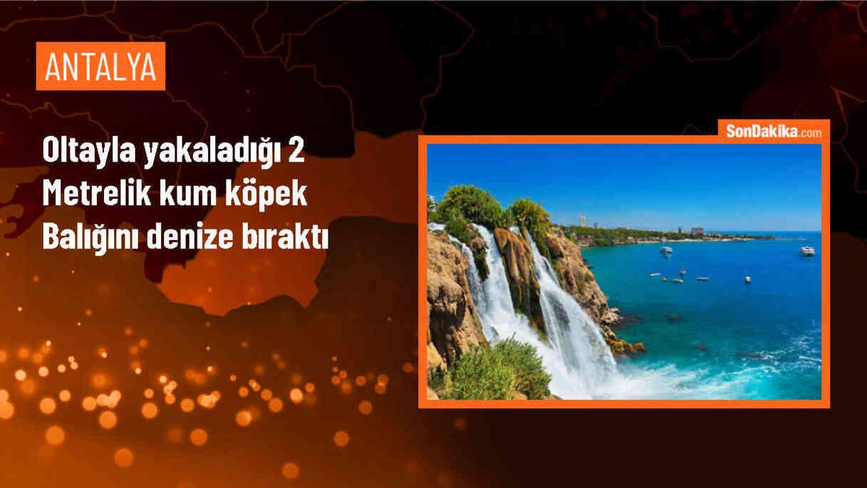 Antalya\'da Sportif Balıkçılık Yapan Genç, Nesli Tükenmekte Olan Kum Köpek Balığını Denize Bıraktı