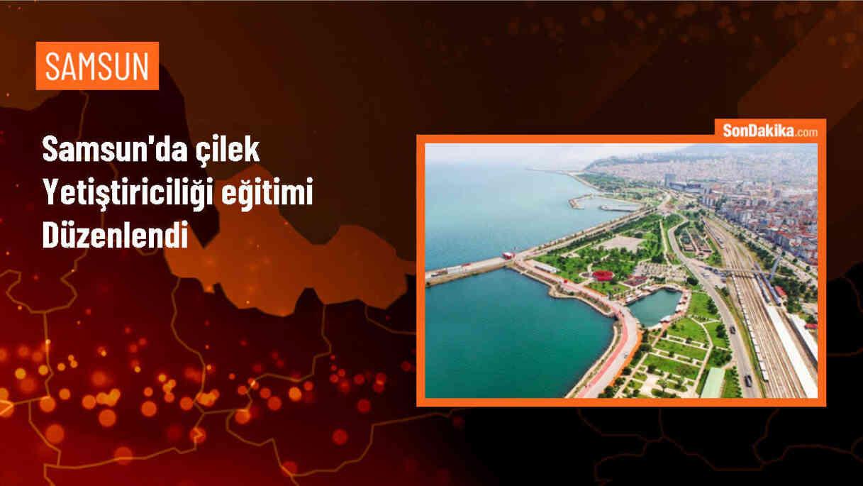 Samsun'un Asarcık ilçesinde çilek yetiştiriciliği eğitimi düzenlendi ...