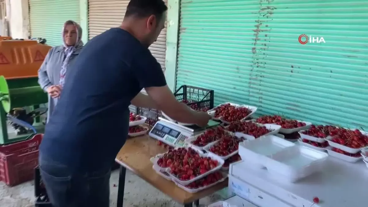 10 dakikada 2 kilo 452 gram kiraz yiyerek altın kazandı