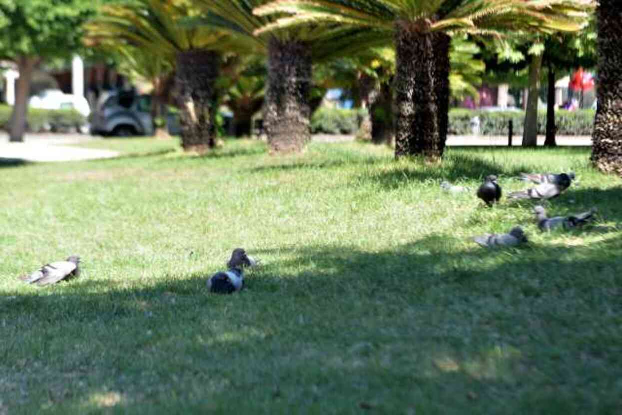 Adana'da termometreler 40 dereceyi gösterdi Adana'da termometreler 40 dereceyi gösterdi
