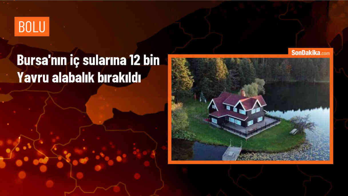 Bursa\'da Derelere Yavru Alabalık Bırakıldı