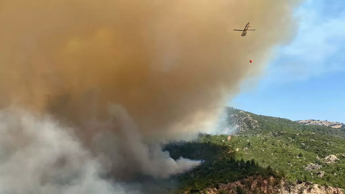 Çanakkale Valiliği, Orman Yangınlarına Karşı Uyarıda Bulundu