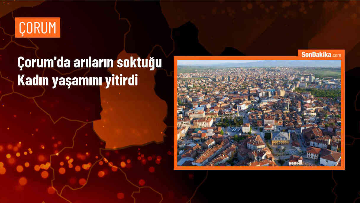 Çorum\'da 82 yaşındaki kadın arı sokması sonucu hayatını kaybetti