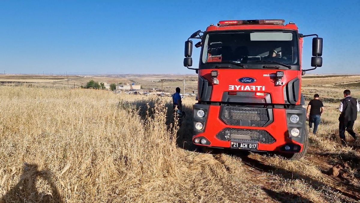 Diyarbakır\'da çıkan yangında 400 dönüm ekili arazi zarar gördü