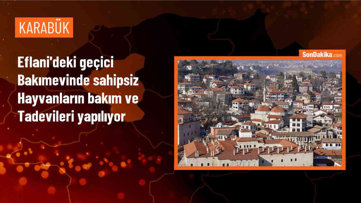 Karabük\'ün Eflani ilçesindeki hayvan barınağı sokak hayvanlarına ev sahipliği yapıyor