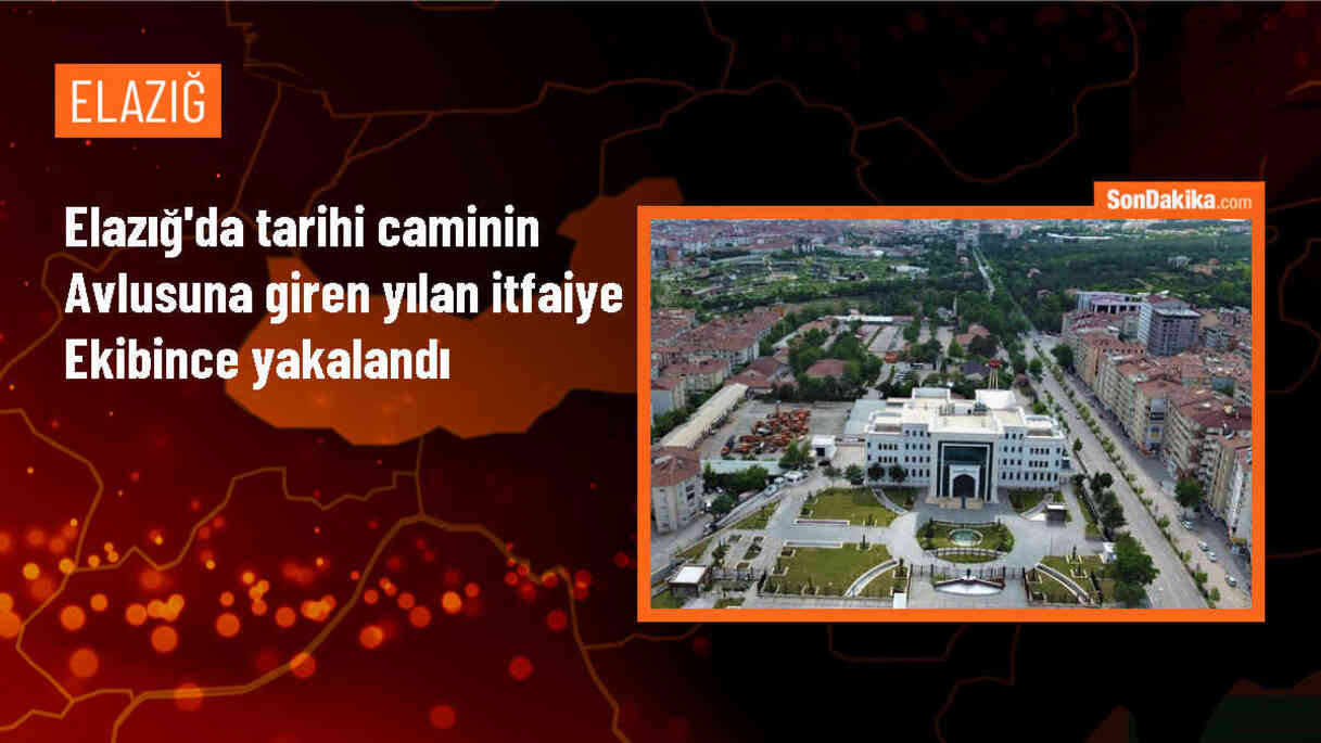 Elazığ\'da Tarihi Caminin Avlusuna Giren Yılan Yakalandı