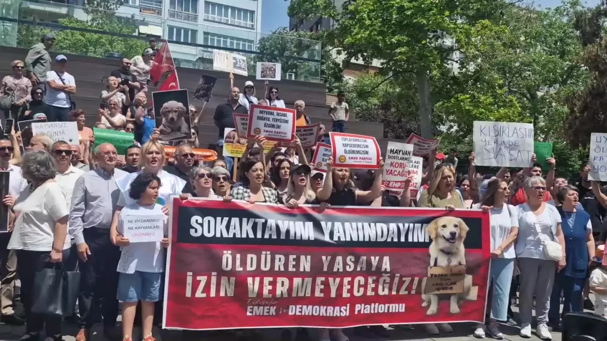 Eskişehir Emek ve Demokrasi Platformu, sokak hayvanlarına yönelik kanun teklifi hazırlığını protesto etti