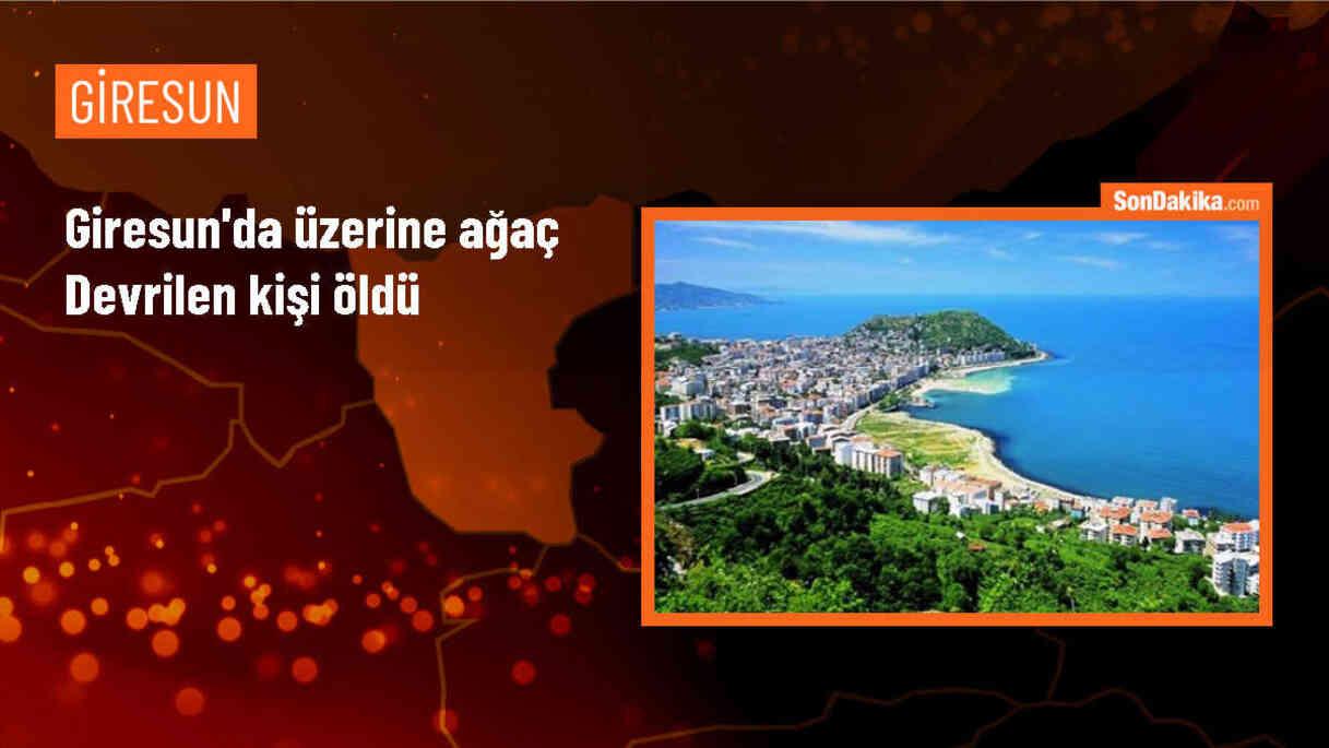 Giresun Güce\'de ağaç devrilmesi sonucu bir kişi hayatını kaybetti