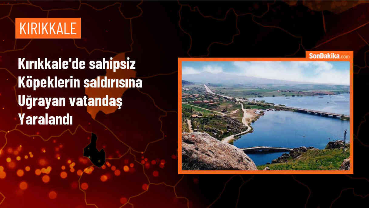 Kırıkkale\'de güvercinleri beslemek için evinin önüne çıkan vatandaş sahipsiz köpeklerin saldırısına uğradı