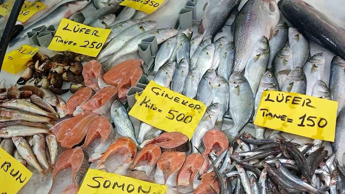 Düzce\'de Kurban Bayramı öncesinde balık fiyatları yükseldi