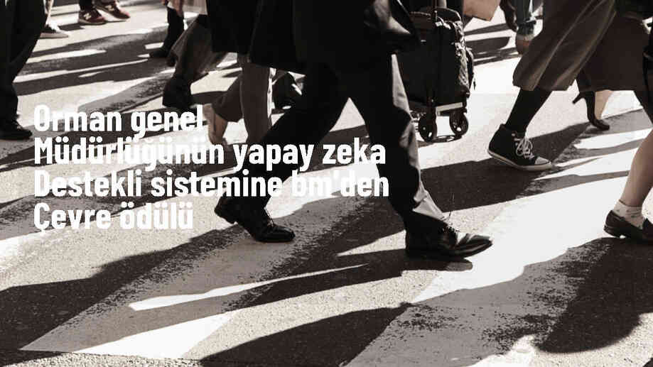 Orman Yangınlarıyla Mücadelede Yapay Zeka Destekli Sistem İkinci Oldu