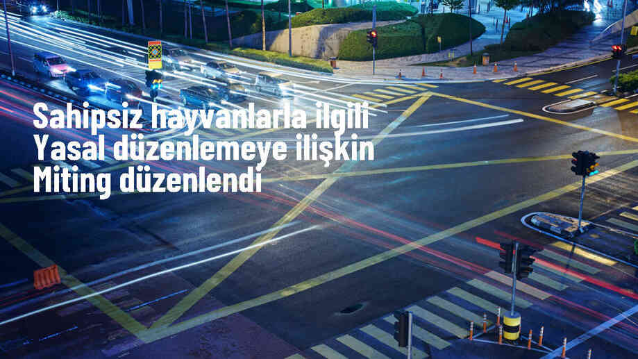 Fatih\'te Hayvan Hakları Savunucuları Tarafından Miting Düzenlendi