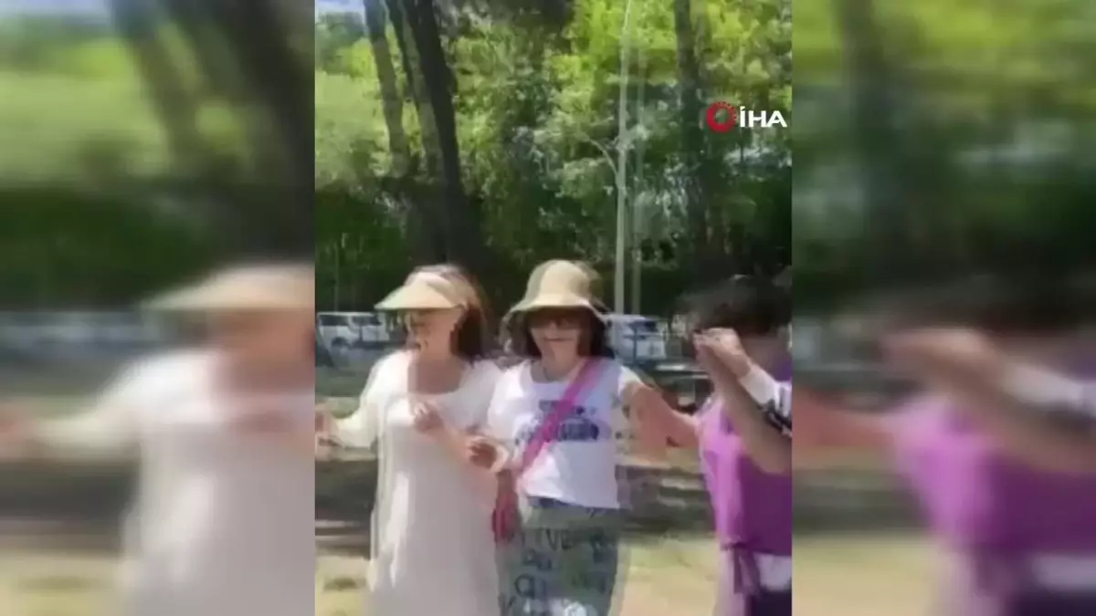 Türk rehberler Koreli turistlere halay öğretti