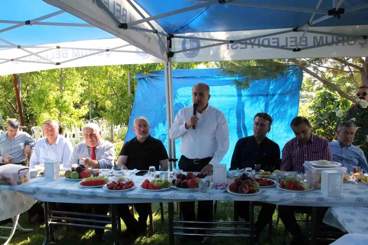 Çorum\'un Ovasaray Köyünde Ulu Çınarlar Buluşuyor