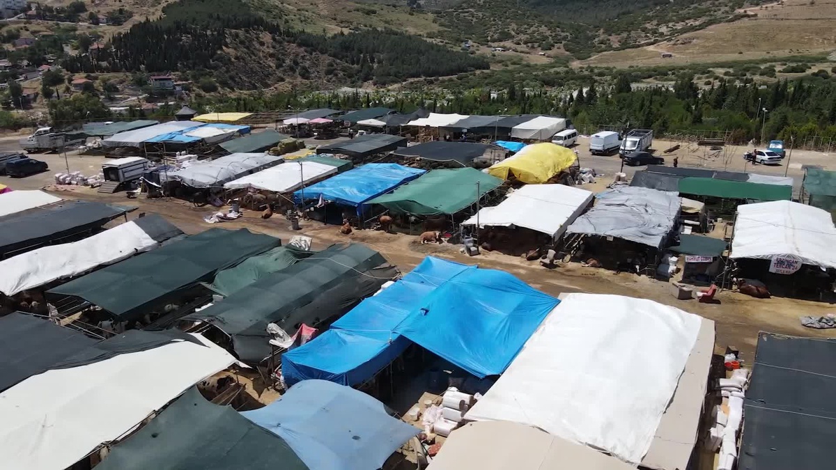 Bayraklı Belediyesi Kurban Satış Yeri Hazırlıklarını Tamamladı